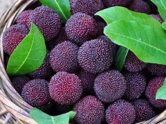 旋乐吧SPIN8塑料护目镜专用PVC粒料，助力早日打赢疫情